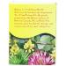 Now Foods Ojibwa Tea - Caffeine-Free Herbal Tea Bags (24 Count) - 1.5 oz - Buy Online on GoSupps.com
