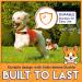 Orange Safety Reflective Dog Vest | 5 Sizes | Leash Hole | Snap Lock Buckle | High Visibility for Outdoor Activities | Medium - Keep Your Dog Safe - Buy Online on GoSupps.com