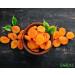 Sareks Premium Dried Apricot 16 oz - Unsweetened Turkish Dry Apricots in Resealable Bag | Nutrient-Rich Gluten Free Non-GMO Snack - Buy Online on GoSupps.com