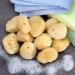 Neptune Natural Sea Soft Silk Sponge 12pk - Cosmetic & Facial Cleansing Tool 1-1.5 Inches, Pack of 12 - Buy Online on GoSupps.com