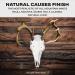 Mountain Mike's Reproductions Skull Master - Universal Antler Mounting Kit - European-Style - Fits Most Antlers - White Natural - Buy Online on GoSupps.com