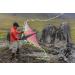 Prism Kite Technology Zenith 5 Single Line Delta Kite Infrared - High Quality Delta Kite for Beginners and Enthusiasts - Buy Online on GoSupps.com