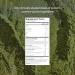 Gainful Daily Performance Greens Powder Coconut Pineapple Gut Health Energy Focus and Immune Support with L Theanine Organic Greens Chlorella Ginger Green + Adaptogen Drink Mix 28 Packets Tropical Pineapple 12.8 Ou  - Buy Online on GoSupps.com