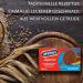 McVitie's Digestive Milk Chocolate Biscuits 200g - Delicious Chocolate Biscuits from McVitie's - Buy Online on GoSupps.com