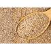 Organic Italian Steel Cut Farro  1.5 Pounds  Non-GMO  Cracked Pearled Wheat Grain  Non-Irradiated  Vegan  Bulk. Easy to Cook. Rich in Fiber  Protein. Perfect for Cereal  Porridge  Soups  Salads - Buy Online on GoSupps.com