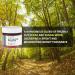 Beardbrand Beard Styling Paste | Medium Hold & Natural Look Hair Paste for Men | Versatile Beard Balm & Hair Cream - Sandalwood Cedar - 56g Lumber Yard - Buy Online on GoSupps.com