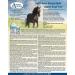 Omega Alpha Equine Respi-Free 32oz. - Buy Online on GoSupps.com