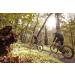 CamelBak M.U.L.E. 12 Mountain Biking Hydration Backpack - Magnetic Tube Trap - 100oz Black - Buy Online on GoSupps.com