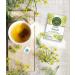 Traditional Medicinals Organic Fennel Herbal Tea - Digestive Health Support (Pack of 2, 32 Tea Bags) - Buy Online on GoSupps.com