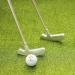 FUNGREEN 2PCS/Pack Two-Way Golf Putter for Right or Left-Handed Golfers - Foldable Alloy Rod Head, 34 Length, Red and Blue - Buy Online on GoSupps.com