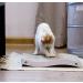 Coching Premium Cardboard Cat Scratcher Pad | Durable Scratching Surface | Reversible Design | Medium Size - White - Buy Online on GoSupps.com