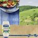 Hellmann's Vegan Dressing and Spread - Creamy Plant-Based Mayo Alternative - Egg-Free, Same Great Taste - 11.5 oz (Pack of 3) - Buy Online on GoSupps.com