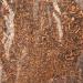 Old India Sarsaparilla Root 250g - Buy Online on GoSupps.com