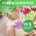 Jorus 1kg Organic Shelled Seeds Hearts - Vegan Snack with Omega 3&6, Amino Acids & Minerals - Buy Online on GoSupps.com