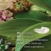 Maui Moisture Hibiscus Water Coconut Detangler 4.2 Fl Oz - I00111886 - Buy Online on GoSupps.com