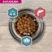 Eukanuba Adult Dog Dry Food For Large Breed Salmon & Barley 12kg - Buy Online on GoSupps.com