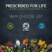 Prescribed For Life Organic Rice Protein Powder | Non GMO Whole Grain Brown Rice Protein Concentrate Powder - 80% Protein (5kg / 11lb) - Buy Online on GoSupps.com