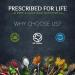 Prescribed For Life White Willow Powder 25% Salicin - 12 oz | Salix Alba Extract - Natural Comfort & Ease | Gluten Free Vegan Non-GMO - Buy Online on GoSupps.com