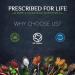 Prescribed For Life Citrus Pectin Powder - 2 kg | Daily Fiber Supplement - Gluten Free & Vegan | Supports Digestive Health | High Fiber Content - Buy Online on GoSupps.com
