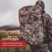 Badlands Waterproof Rain Cover for Large Hunting Backpacks - Approach FX - Buy Online on GoSupps.com