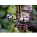 Suet To Go Premium Suet Balls Wild Bird Treat 150 x 90 g insect 13.5 kg (Pack of 1) - Buy Online on GoSupps.com