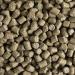 Kaytee Forti-Diet Pro Health 5lb Mouse, Rat, and Hamster Food - Pack of 1 - Buy Online on GoSupps.com
