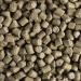 Forti-Diet Pro Health Kaytee Small Animal Food for Mouse and Pet Rats 3-Pound - Buy Online on GoSupps.com