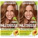Garnier Hair Color Nutrisse Nourishing Creme 63 Light Golden Brown (Brown Sugar) Permanent Hair Dye 2 Count (Packaging May Vary)