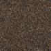 Premiun Niger Seed Wild Bird Food 2.5L - Buy Online on GoSupps.com
