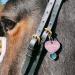 Soulhorse Happy Bridle Guardian Angel Keyring Talisman for Horses & Dogs - Rose & Heart Design - Buy Online on GoSupps.com