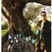 Eco Farm Il Sogno Verde - Extra Virgin Olive Oil - Organic - DOP Canino - Monocultivar Caninese - 100% Italian - From centuries-old olive trees - Artisan quality - Cold extract - 5 L - Buy Online on GoSupps.com