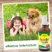 CDVET ZECKEX Tick Defense Spray 100ml | Natural Tick Remedies for Humans & Animals | Long-Lasting Protection Dermatologically Tested No Synthetic Additives - Buy Online on GoSupps.com