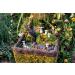 SuperMoss Fairy Garden Kit - 4 oz Mixed Mosses (50310) - Buy Online on GoSupps.com
