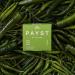 Payst Fresh Thai Green Curry Paste. Fresh Handmade in London Authentic Thai cooking paste. 100g. Serves 2. - Buy Online on GoSupps.com