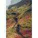 Ergon GE1 Evo Ergonomic Lock-on Bicycle Handlebar Grips - Mountain, Trail, Enduro | Regular/Slim Fit | 7 Color Options - Black - Buy Online on GoSupps.com