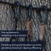 Fusion Climb 6-Pack Quickdraw Set - Contigua Blue/Straight Gate & Techno Zoom Apple Green/Bent Gate Carabiner - 11cm - One Size - Buy Online on GoSupps.com