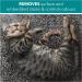 RSPCA 2 x 500ml Pet Stain and Odour Remover Wee Away | Pet Friendly | Probiotic Cleaning - Discourage From Repeat Marking - Buy Online on GoSupps.com