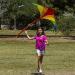 JOYIN Large Delta Kite 2-Pack - Easy-to-Fly Green and Rainbow Kites for Kids and Adults | Includes 262.5 ft Kite String | Perfect for Outdoor Games - Buy Online on GoSupps.com