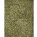 Fruidles Dried Cilantro Flakes Herb Seasoning 2 Oz - Kosher Certified - Buy Online on GoSupps.com
