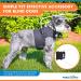 Walkin Halo Harness for Blind Dogs - Comfortable Harness for Pets Over 30lbs - Blind Dog Accessories - XX-Small - Buy Online on GoSupps.com