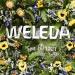 Weleda Baby Calendula Comforting Body Lotion - Plant Rich Moisturizer with Calendula Chamomile & Oils (Pack of 2) - 6.8 Fl Oz - International Shipping Available - Buy Online on GoSupps.com