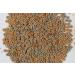 Tetra FunTips Tablets - Natural Fish Feed for Aquariums | 300 Optimal Feeding Tablets (115g Pack) - Buy Online on GoSupps.com