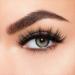 Lilly Lashes 3D Mink Miami - Dramatic False Eyelashes for a Luxurious Look | Reusable, Handmade & Cruelty-Free - Buy Online on GoSupps.com
