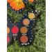 Fusha Monarch Butterfly Eyeshadow Palette - Vibrant Pigments for Stunning Eye Looks - Buy Online on GoSupps.com