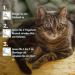 Ubica Tick Collar for Cats - Flea & Tick Protection Essential Oils 100% Waterproof 3 Tick Clamps Included - Buy Now! - Buy Online on GoSupps.com