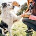 Greenendoor Natural Organic Paw Care - Vegan 100ml for Soft Paws | Protect Against Cracks & Environmental Influences for Dogs & Cats - Buy Online on GoSupps.com