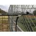 Nettings Wholesale  Baseball Softball Basketball Football Soccer Barrier Netting  Nylon 10x10/10x15/10x20/10x30 Basketball Court Barrier net  Tennis Divider net 10ft x10ft - Buy Online on GoSupps.com