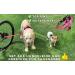Premium Dog Leash & Harness for Biking - Patented Bike & Dog Set with Unique Dishes | Shop Now! - Buy Online on GoSupps.com