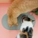 Shop Katznapf Waterproof Silicone Cat & Dog Feeding Mat | 49x25cm Sage Green | No-Bowl Pad for Mess-Free Meals - Buy Online on GoSupps.com
