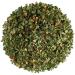 Birch leaf silver tea - birch bark tea - sandbirke bark birch leaf tea birch tea birch leaf birch leaves birch tea sandbirke leaf 100 g (1 Pack)